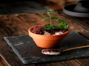Tiramisu pot with edible soil