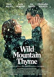 Wild mountain thyme